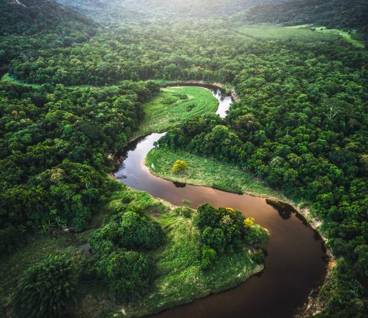 An Adventure In The Lush Amazon Jungle