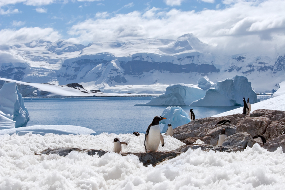 It is the only continent located entirely within the southern hemisphere.  Surrounded by the Antarctic Ocean, the best time to travel is during the southern summer, between the months of December and March, but in October the temperatures begin to rise and the white giant wakes up from the long winter nights.
