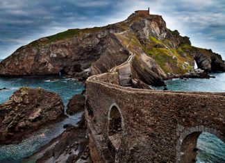 Blue sharks in Bermeo