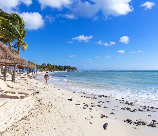 The 20 best things to do and see in Carmen Beach