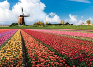 A virtual tour of Keukenhof, the world’s most spectacular tulip garden