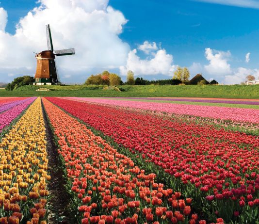 A virtual tour of Keukenhof, the world’s most spectacular tulip garden