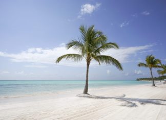 Punta Cana, a paradise between the beach and the jungle