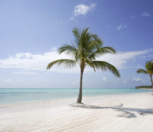 Punta Cana, a paradise between the beach and the jungle