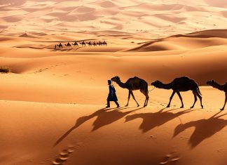 There are no dragons in the Sahara