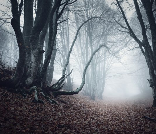 The 15 macabre tourist destinations that succeed