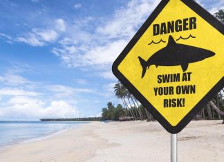 The 6 most dangerous beaches in the world