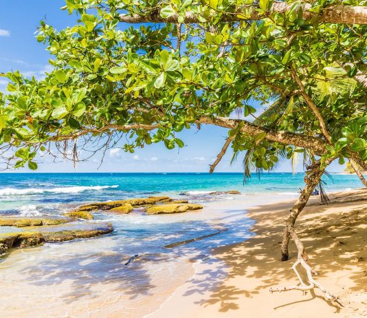 Top 15 best beaches in Costa Rica that you have to visit