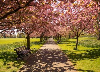 A walk through Hyde Park