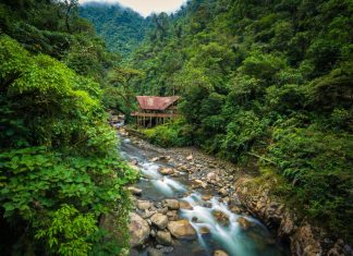 Manu National Park: the most protected reserve in Peru