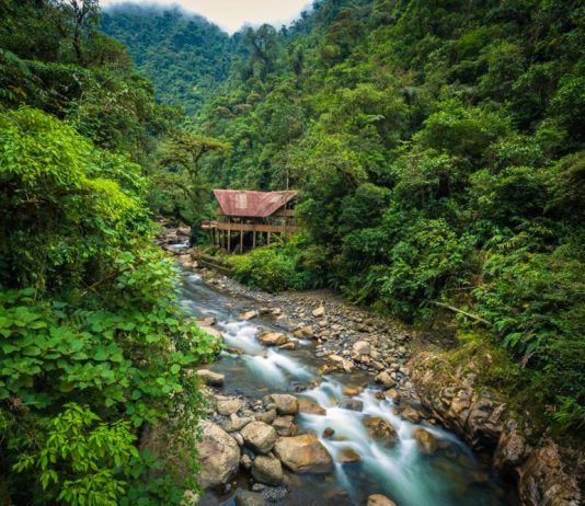Manu National Park: the most protected reserve in Peru