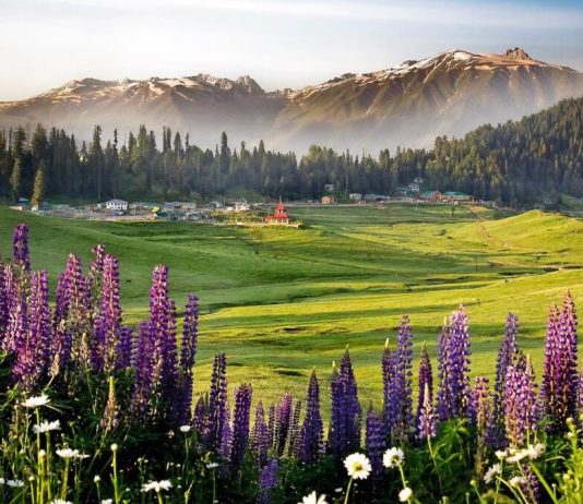 7 phrases that you should never say to your loved ones while you are traveling