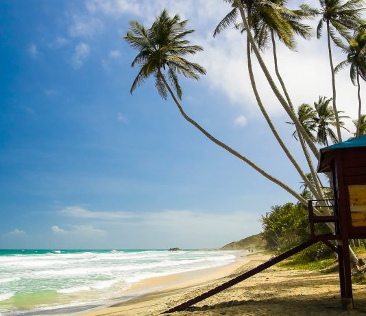 The Best Beaches In Venezuela That You Must Visit