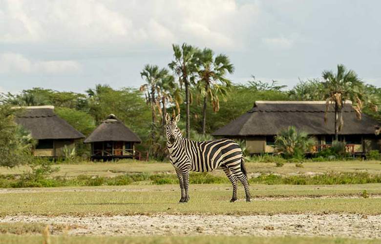 Zebra at the Maramboi Tented Camp