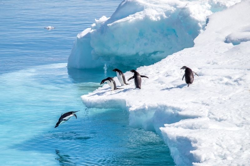 Antarctica