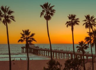 The 15 Best Beaches in Los Angeles You Should Know
