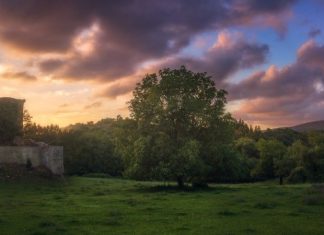 Why are there few castles in Galicia and why are they so dilapidated?