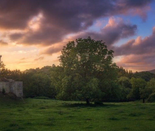 Why are there few castles in Galicia and why are they so dilapidated?