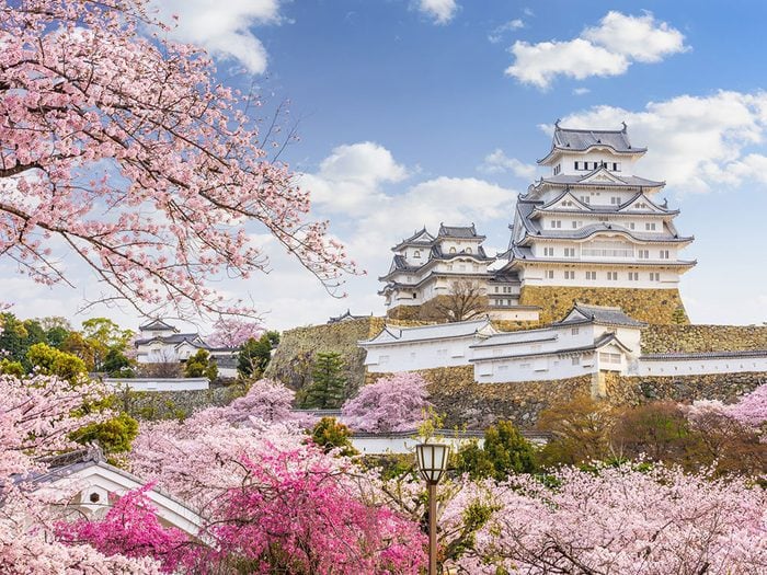 Castle de Himeji, Japan.
