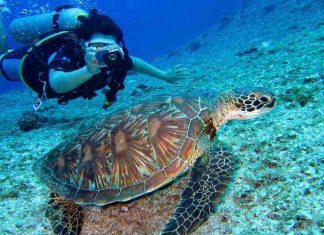 The 10 destinations to dive that you have to know