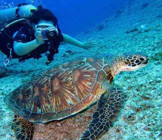 The 10 destinations to dive that you have to know