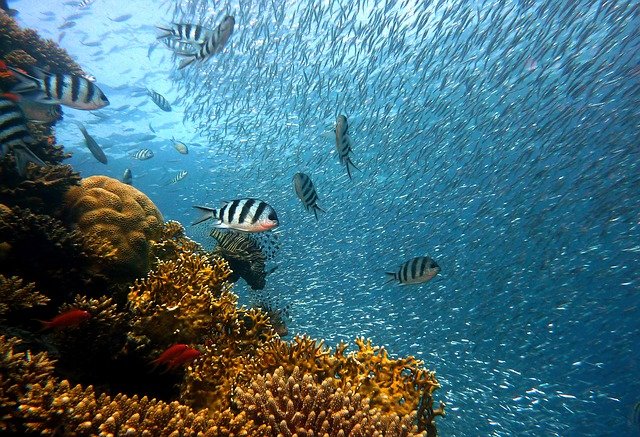 bali where to go