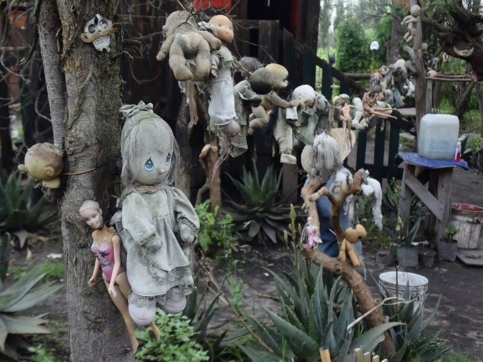 The Island of Dolls is one of the haunted forests in the world.