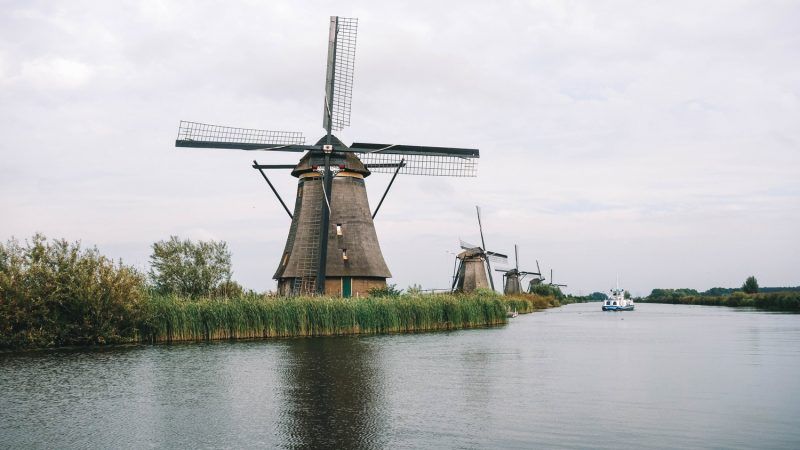 what to do in rotterdam