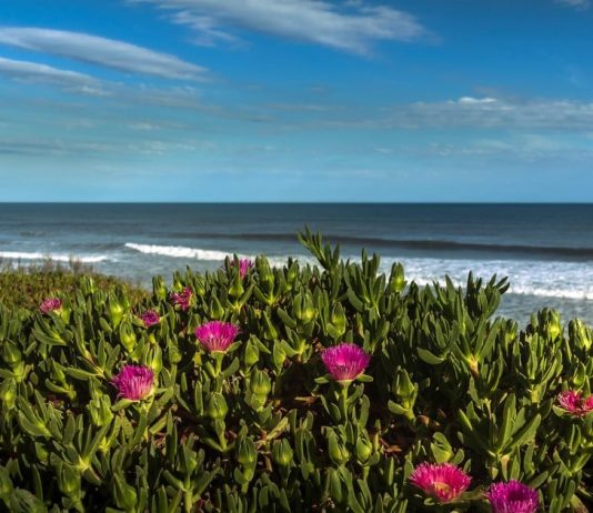 Holidays 2023: 11 trips to enjoy with the children on the Atlantic Coast