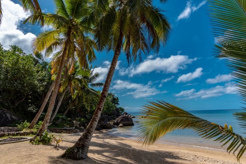 Playa Ile Aux Nattes