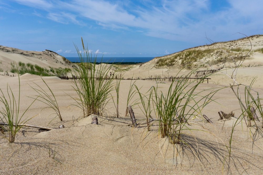 Curonian Spit, Lithuania