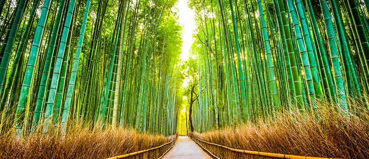 kyoto