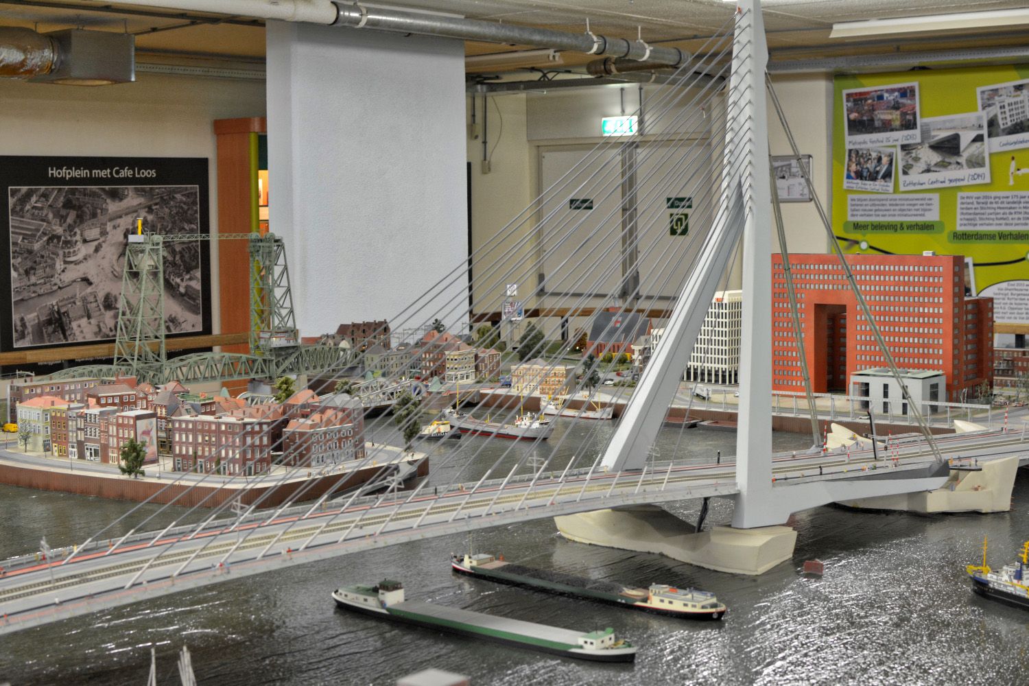 what to do in rotterdam