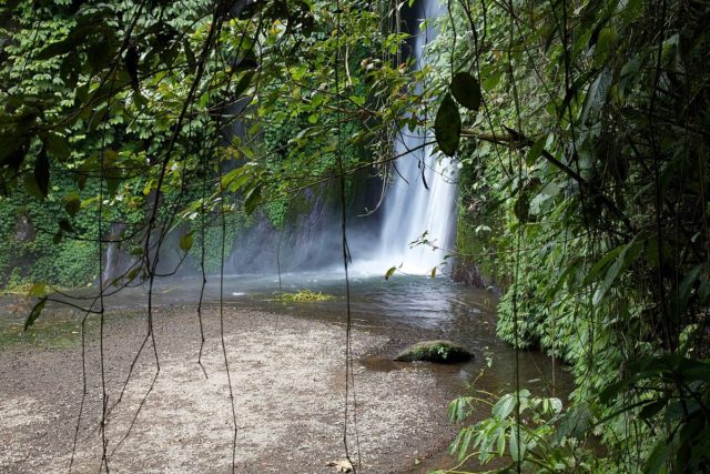 Where to go to bali with family