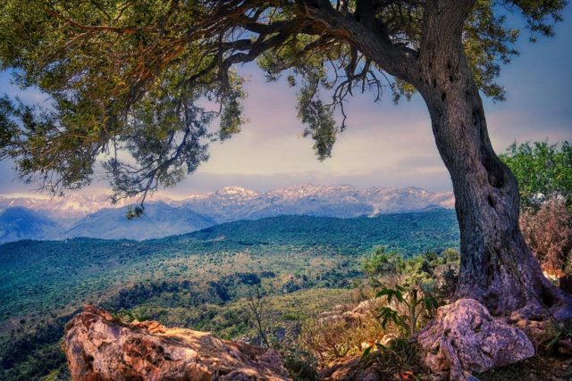 where to go to crete to hike