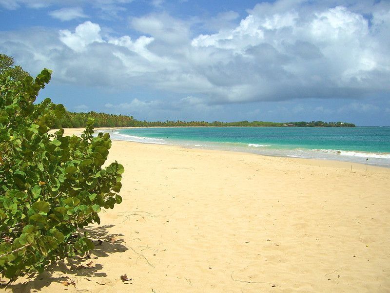 Ses Salines, one of the best beaches in Ibiza
