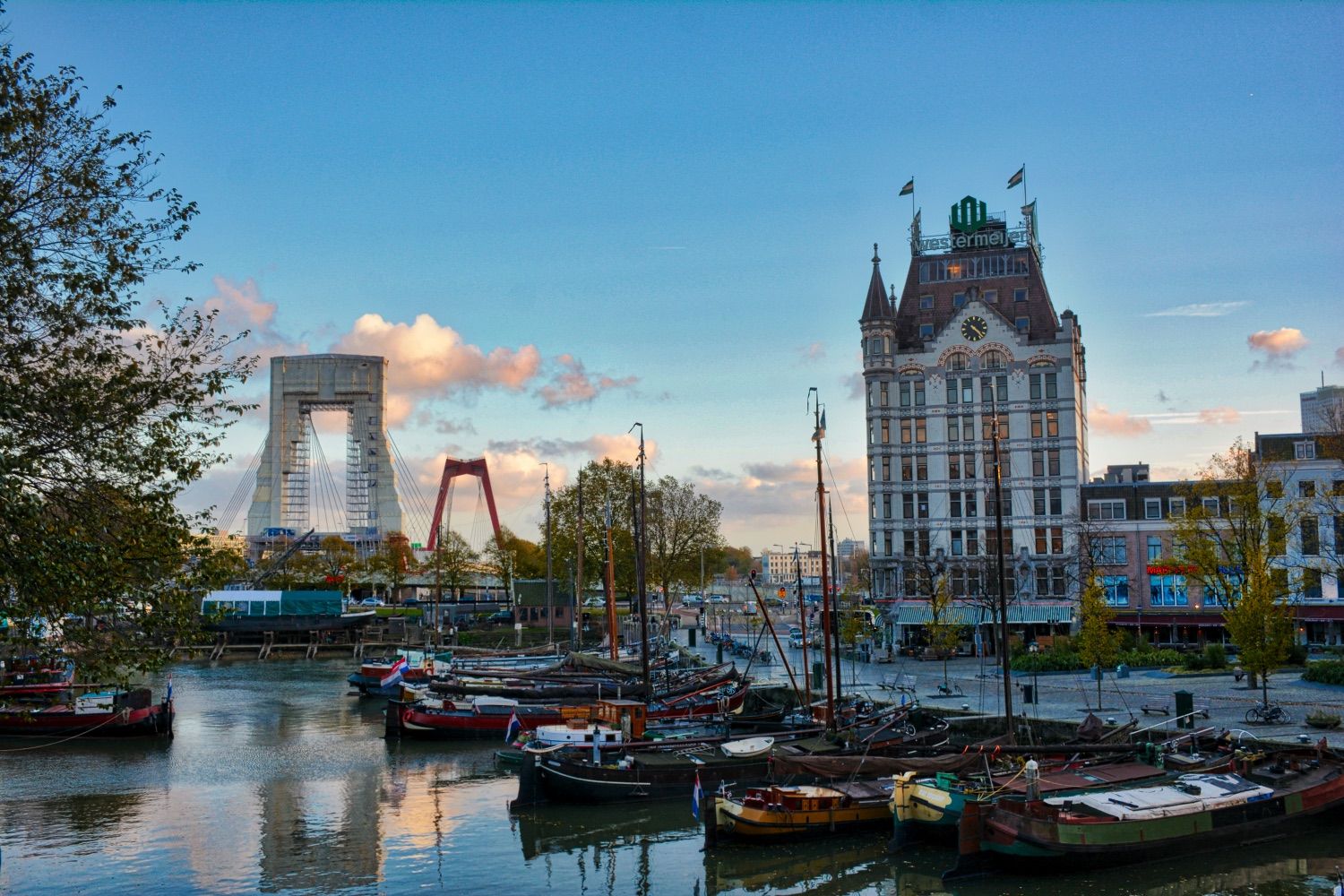 what to do in rotterdam
