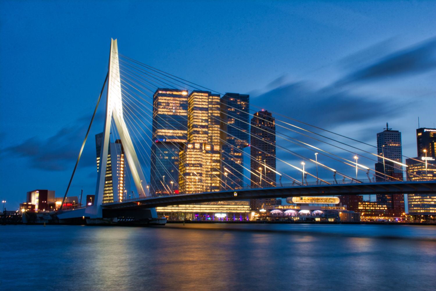 what to do in rotterdam