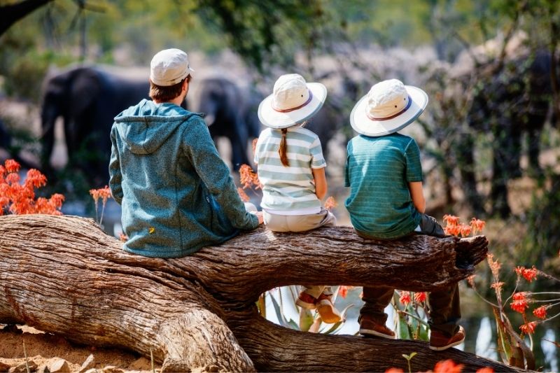 safari with kids