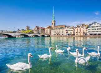 Top 25 things to do and see in Zurich