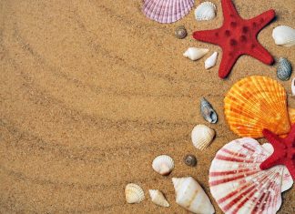 Top 10 of the most colorful beaches in the world to see absolutely!