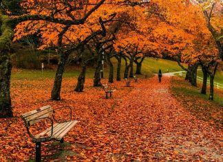 Vancouver in Canada, one of the most beautiful cities to travel