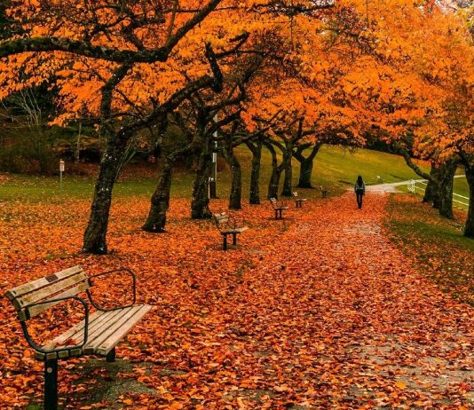 Vancouver in Canada, one of the most beautiful cities to travel