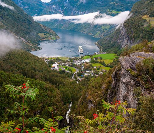 Which cruise to choose for each type of traveler