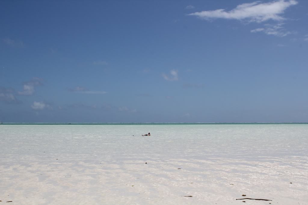 zanzibar beaches in tanzania