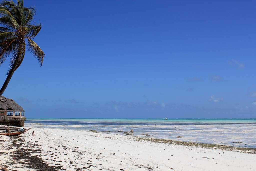 zanzibar beaches in tanzania