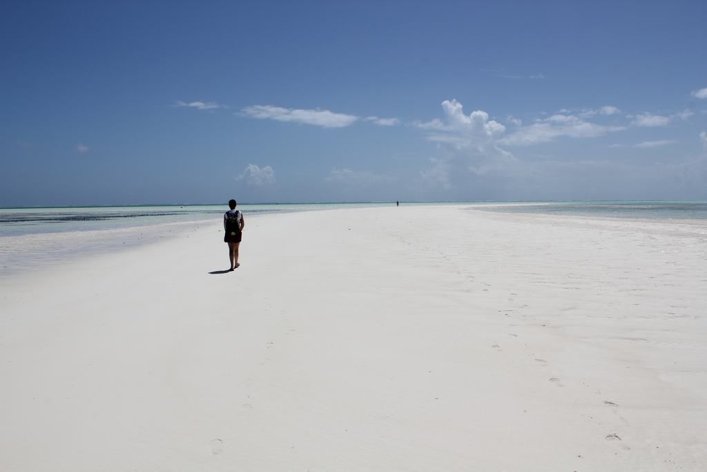 zanzibar beaches in tanzania