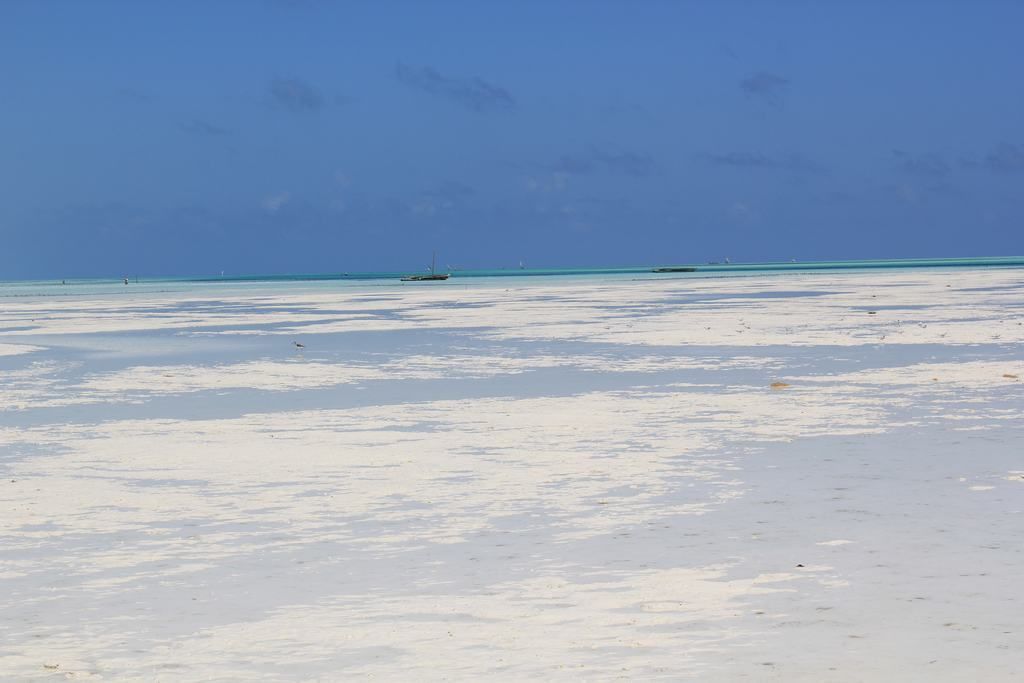 zanzibar beaches in tanzania
