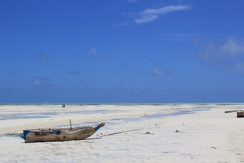 zanzibar beaches in tanzania