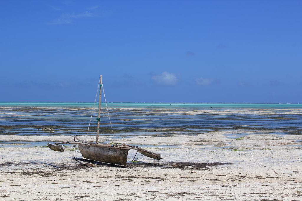 zanzibar beaches in tanzania